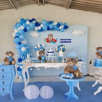 ursinho aviador