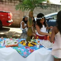 Festa Havaiana