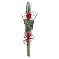 PRESENTE ROSA + FERREIRO CORAÇÃO (FOTO ANTERIOR) R$55,00