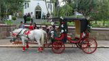 carruagemtrolejoinville@blogsp