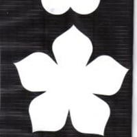 forminhas brancas/estampadas