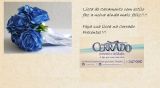 cerradopresentes