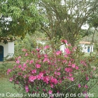 chales