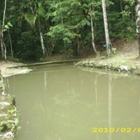 igarapé