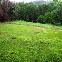 Área Gramada