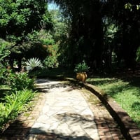 Caminho de entrada