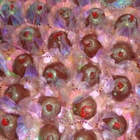 Docinho de Cereja