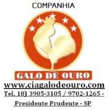 ciagalodeouro
