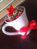 cioccolattomio