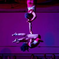 Acrobacia aerea, oficina circense, acrobata