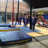 Oficinas de Acrobacias aéreas