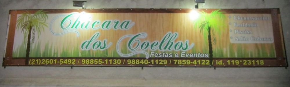 Coelhos Brinquedos