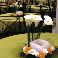decoração