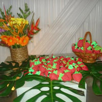 Festa Havaiana