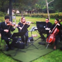 Quartetos