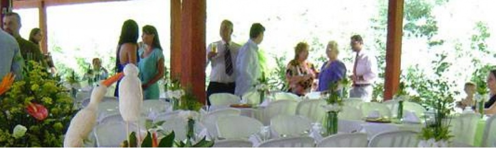 Organização Festa Confraternização Empresas