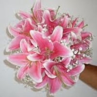 Buquê de Lirios rosas