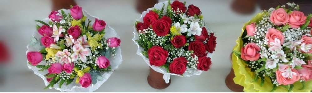 Floricultura alcântara
