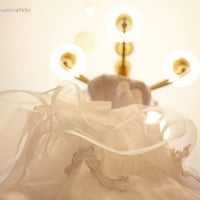 Vestido de Noiva, Making of da noiva, Casamento em Florianópolis, Fotógrafo de Casamento, fotografia