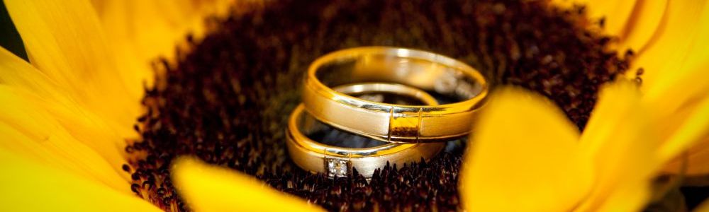 Fotografia de Casamento