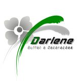 darlenedcoracoes