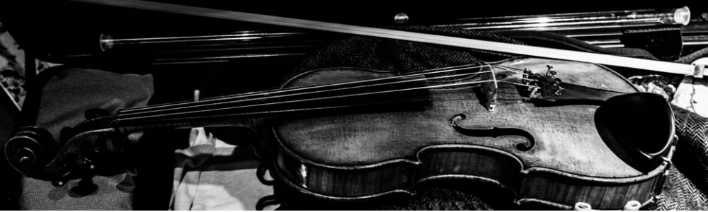 Davi Bellane Violino para casamentos