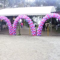 arco trio