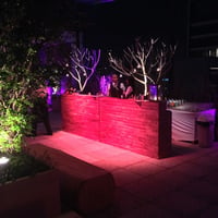 Sonorização e iluminação ambiente evento para CPO (centro paulista de Oncologia)