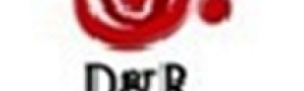 D & R Eventos e Produções