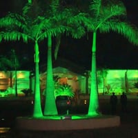 Decoração de Arvores