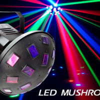 Mushiroom Led