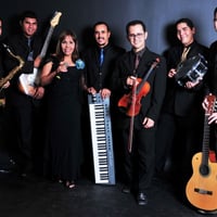Músicos para Cerimônia