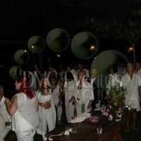 Festa - Praia da Feiticeira - Ilhabela