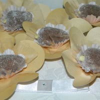 Cajuzinho