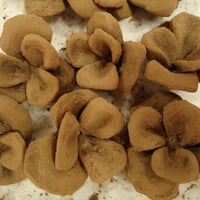 Rosas de chocolate