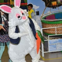 Coelho Páscoa