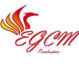 egcmcarregadores
