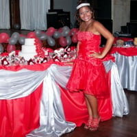 15 Anos Vermelho e Prata (Salão)