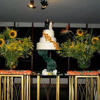 Casamento Roberta Froes
