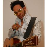 elvislunna
