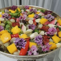salada Tropical