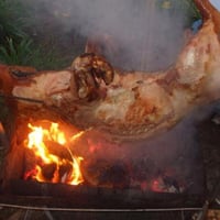 Porco no Rolete
