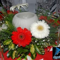 Decoração - arranjo de mesa