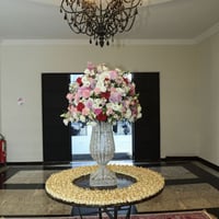 Hall entrada