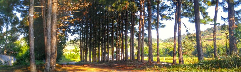 Espaço Pinus - Eventos e Hospedagem