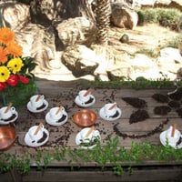 Mesa do Café