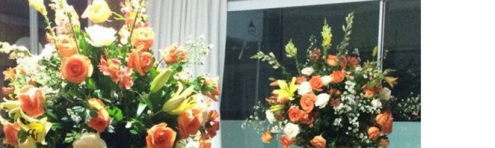 Planet Eventos