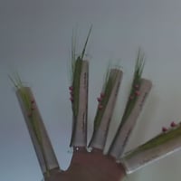 convite casamento tubo de vidro