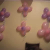 decoraçao