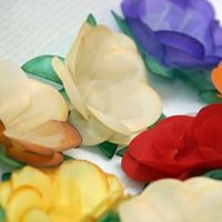 camelia chic